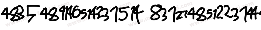 vivotypeEN HeavyVersion 100字体转换